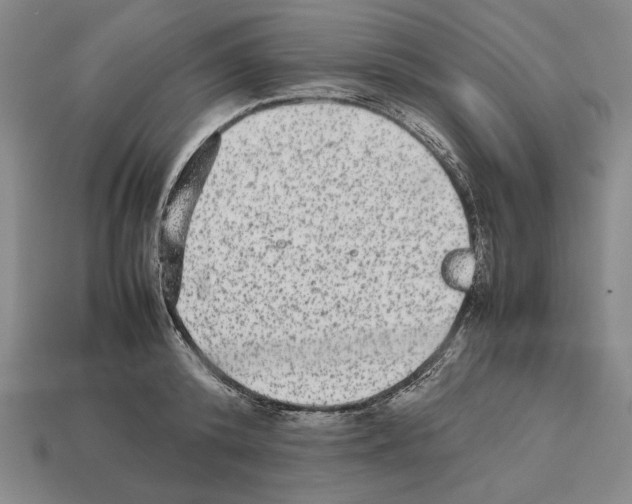 X0000112510800200909280954