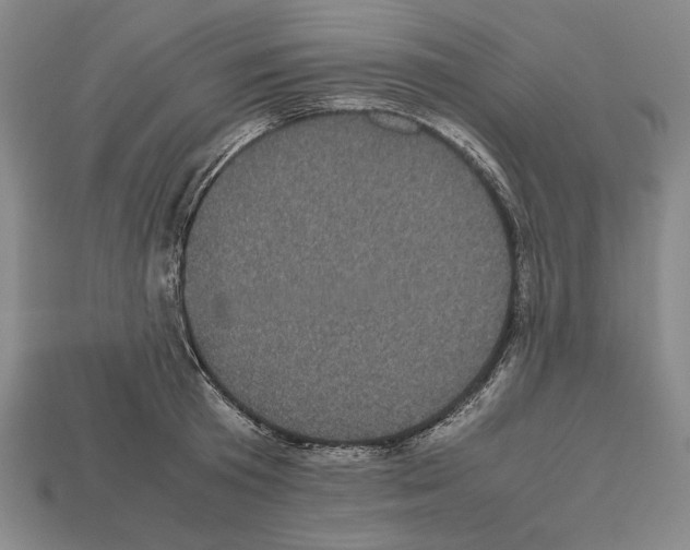 X0000112510801200909280954