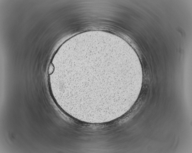 X0000112510803200909280954