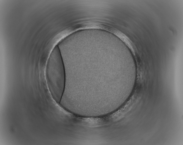 X0000112510805200909280954