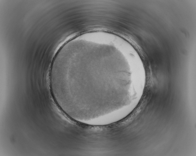X0000112510806200909280954