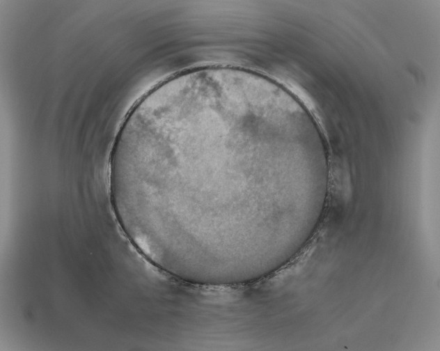 X0000112510807200909280954