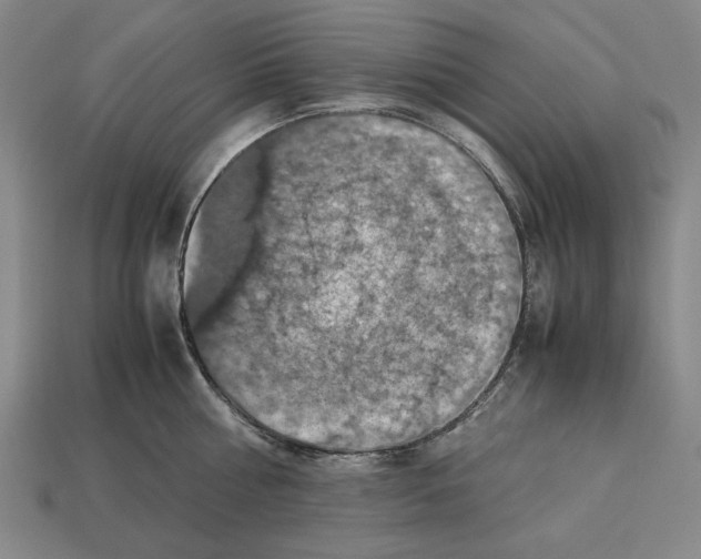 X0000112510810200909280954