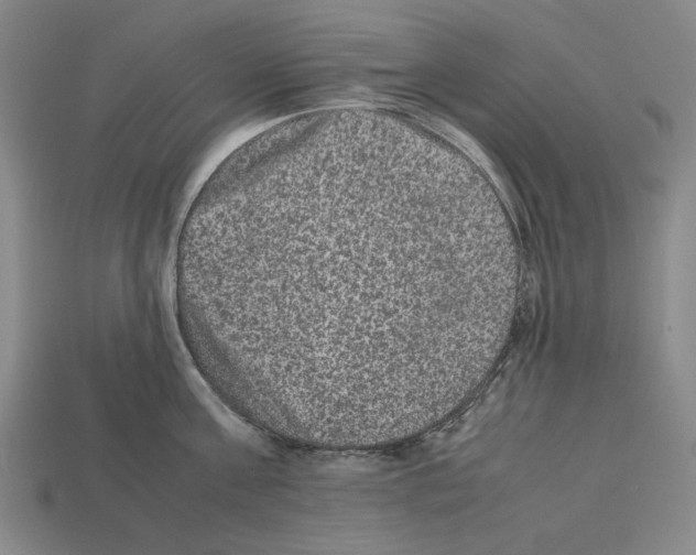 X0000112510811200909280954