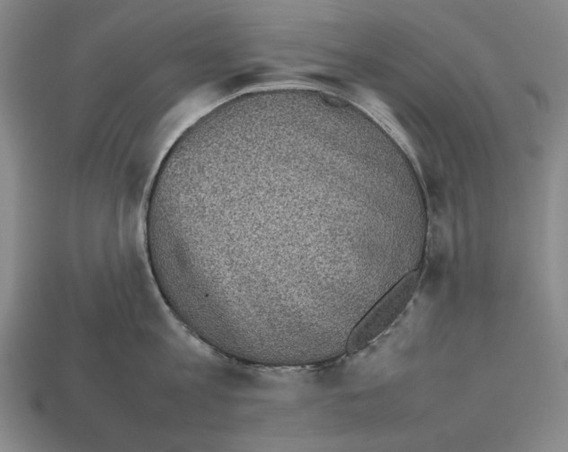 X0000112510813200909280954