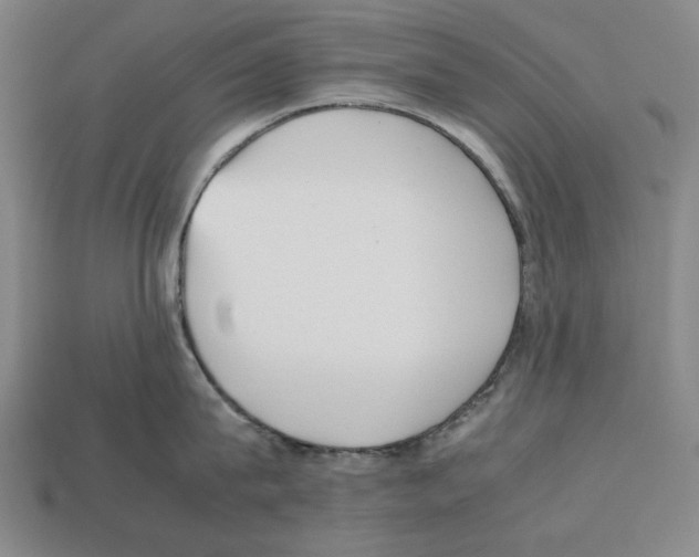 X0000112510815200909280954