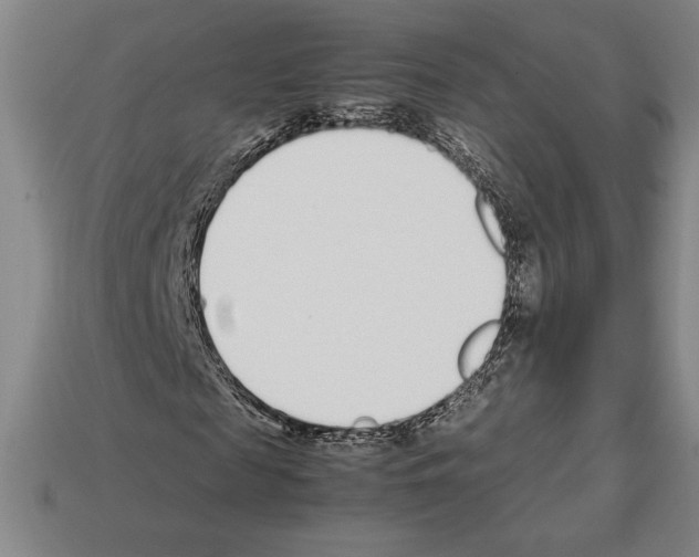 X0000112510817200909280954