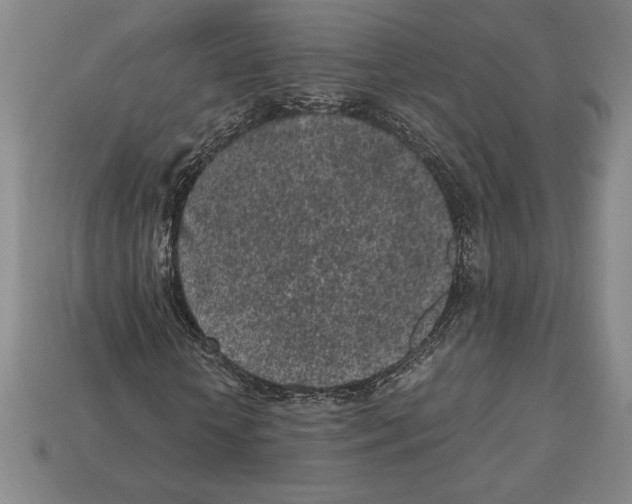 X0000112510818200909280954