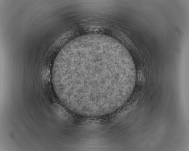 X0000112510820200909280954