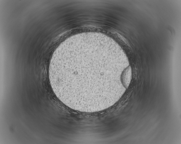 X0000112510821200909280954