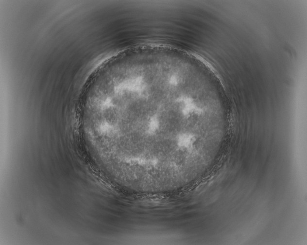 X0000112510823200909280954