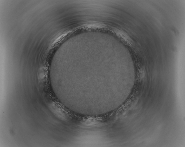 X0000112510824200909280954