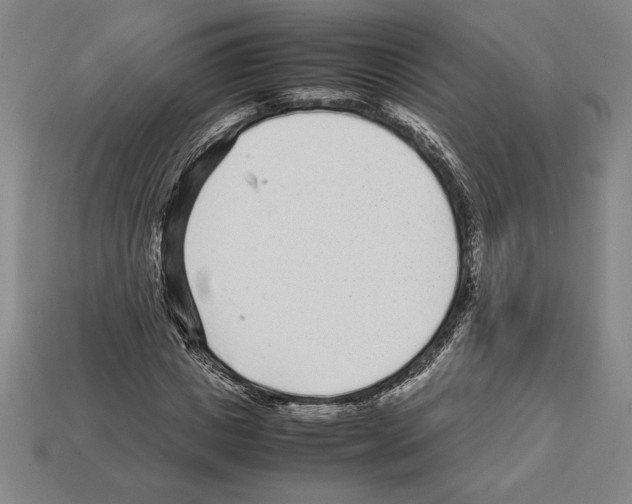 X0000112510825200909280954