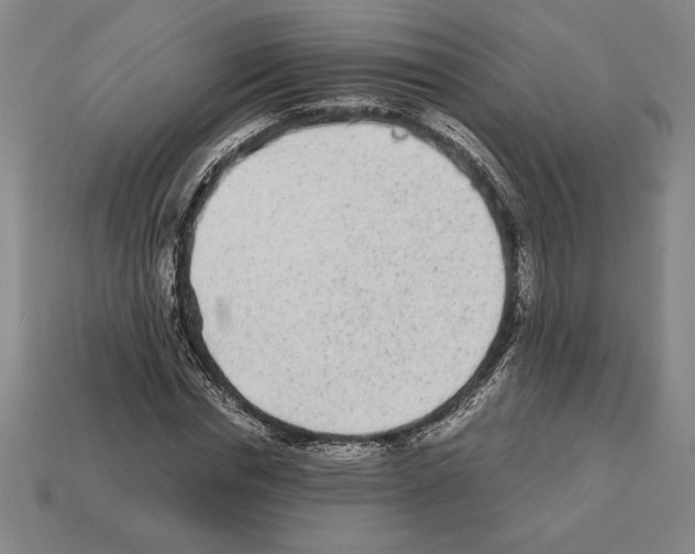 X0000112510826200909280954