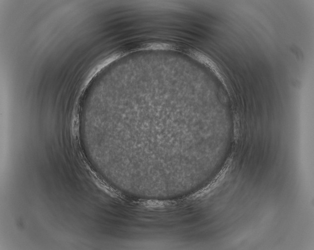 X0000112510827200909280954