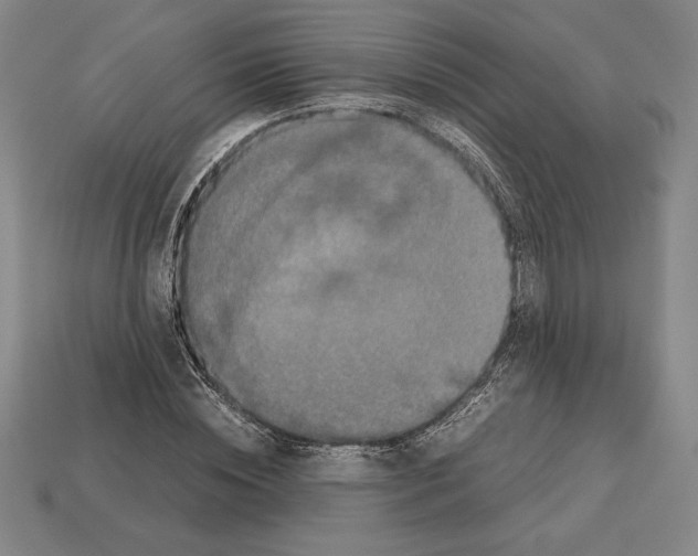 X0000112510828200909280954