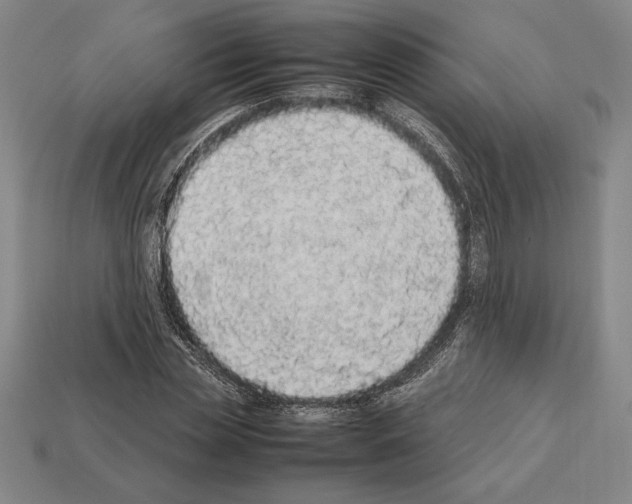 X0000112510829200909280954