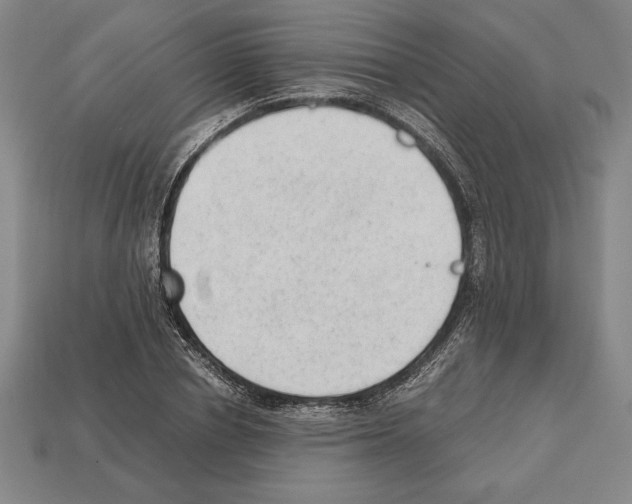 X0000112510834200909280954