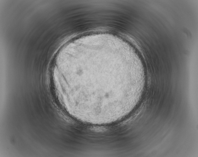 X0000112510835200909280954