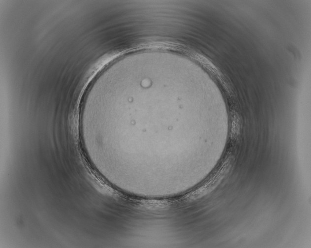 X0000112510836200909280954