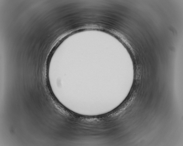 X0000112510837200909280954