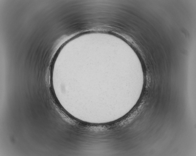 X0000112510838200909280954