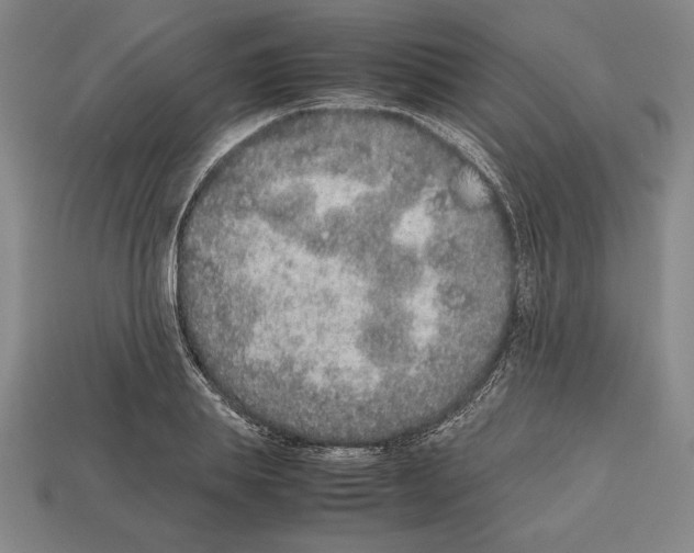 X0000112510839200909280954