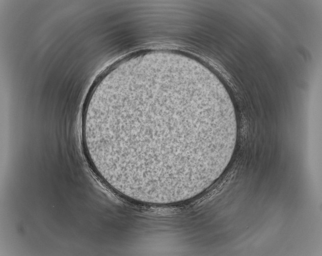 X0000112510840200909280954