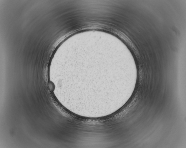 X0000112510842200909280954