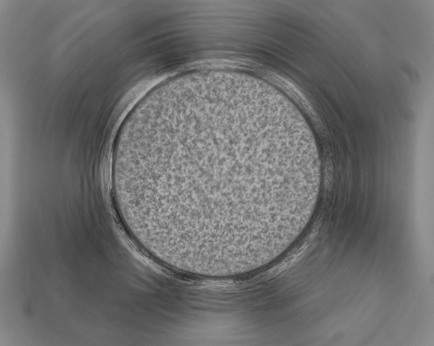 X0000112510844200909280954