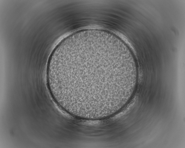 X0000112510845200909280954