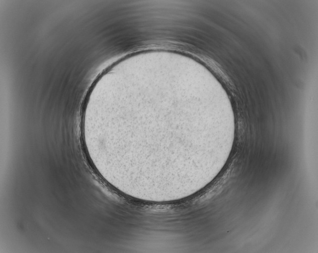 X0000112510846200909280954