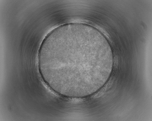 X0000112510848200909280954