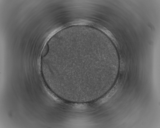 X0000112510850200909280954