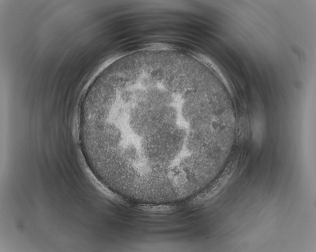 X0000112510851200909280954