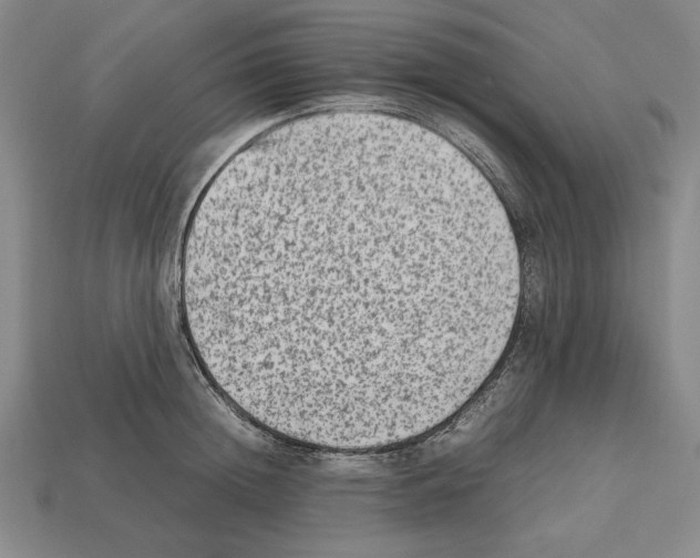 X0000112510852200909280954