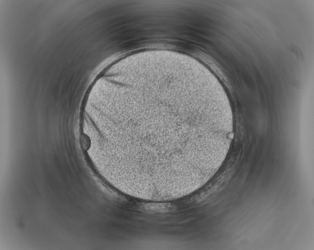 X0000112510853200909280954