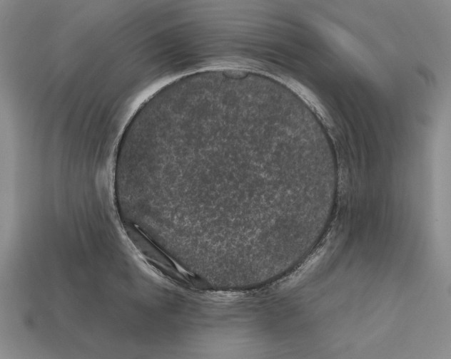 X0000112510854200909280954