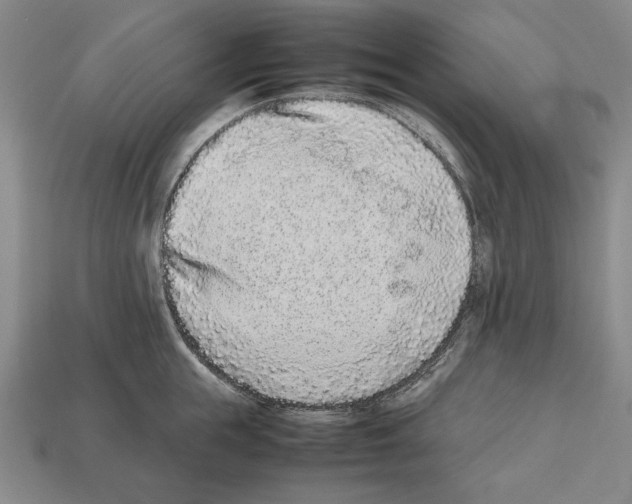 X0000112510855200909280954