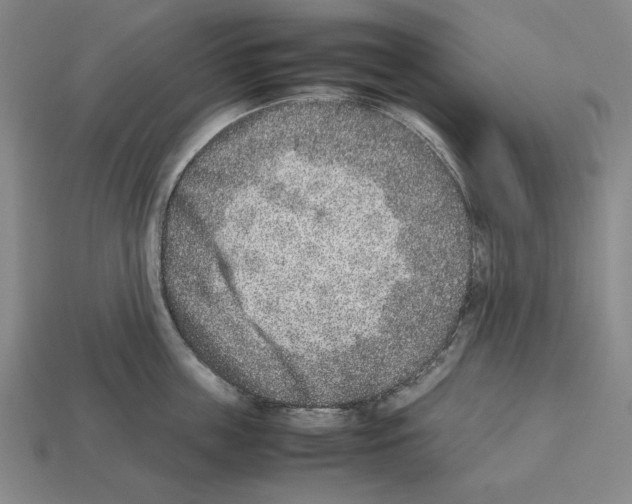 X0000112510859200909280954