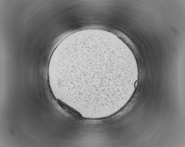 X0000112510860200909280954