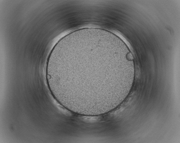 X0000112510861200909280954