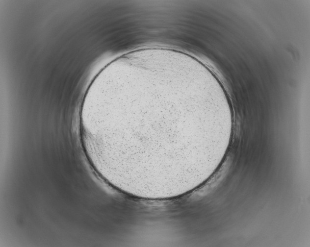 X0000112510862200909280954