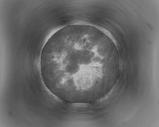 X0000112510863200909280954