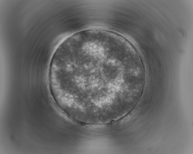 X0000112510864200909280954