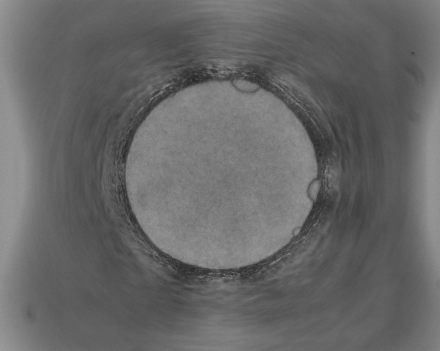 X0000112510865200909280954