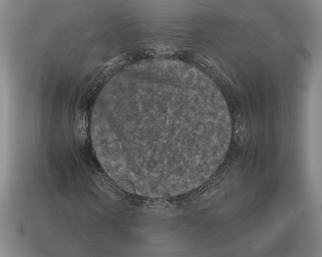 X0000112510866200909280954