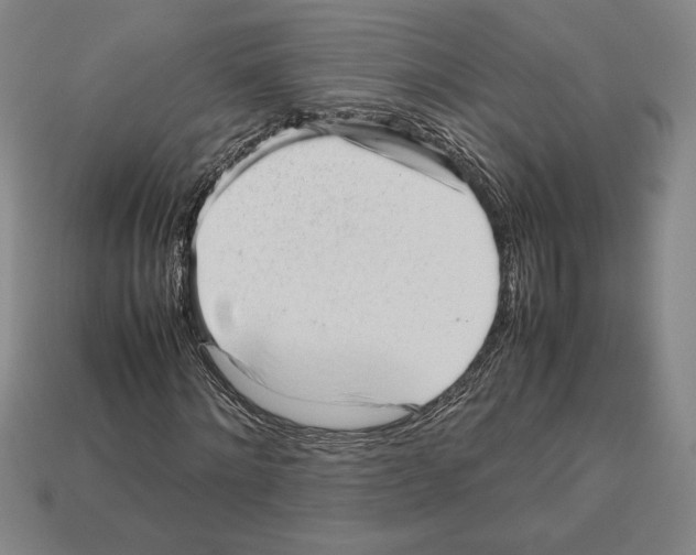 X0000112510868200909280954