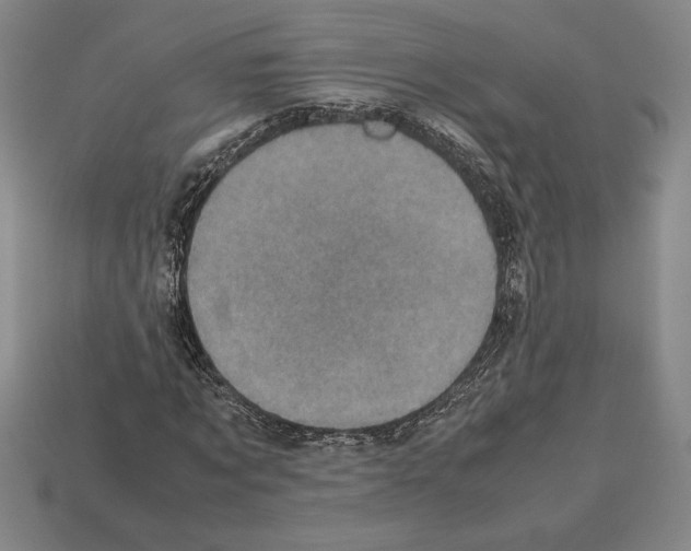 X0000112510869200909280954