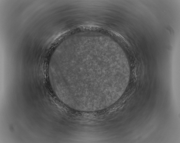 X0000112510870200909280953